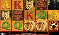 Cats Royal