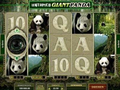 Panda Spiele Kostenlos
