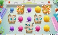 Not Enough Kittens