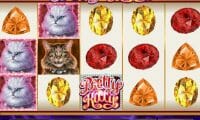 Pretty Kitty