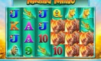 Raging Rhino